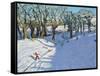 Winter, Rowsley, Derbyshire, 2014-Andrew Macara-Framed Stretched Canvas