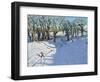 Winter, Rowsley, Derbyshire, 2014-Andrew Macara-Framed Giclee Print