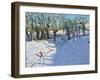 Winter, Rowsley, Derbyshire, 2014-Andrew Macara-Framed Giclee Print