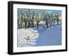Winter, Rowsley, Derbyshire, 2014-Andrew Macara-Framed Giclee Print