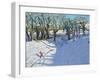 Winter, Rowsley, Derbyshire, 2014-Andrew Macara-Framed Giclee Print