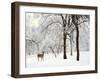 Winter's Breath-Jessica Jenney-Framed Photographic Print