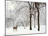 Winter's Breath-Jessica Jenney-Mounted Photographic Print