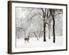 Winter's Breath-Jessica Jenney-Framed Photographic Print