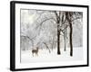 Winter's Breath-Jessica Jenney-Framed Photographic Print