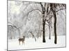 Winter's Breath-Jessica Jenney-Mounted Photographic Print