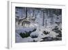 Winter's Cry-Jeff Tift-Framed Giclee Print