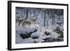 Winter's Cry-Jeff Tift-Framed Giclee Print