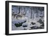 Winter's Cry-Jeff Tift-Framed Giclee Print