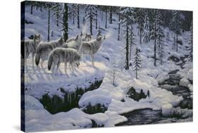 Winter's Cry-Jeff Tift-Stretched Canvas