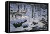 Winter's Cry-Jeff Tift-Framed Stretched Canvas