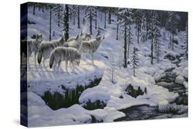 Winter's Cry-Jeff Tift-Stretched Canvas