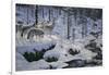 Winter's Cry-Jeff Tift-Framed Giclee Print