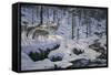 Winter's Cry-Jeff Tift-Framed Stretched Canvas