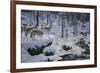 Winter's Cry-Jeff Tift-Framed Giclee Print