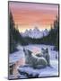 Winter's Dawn-Jeff Tift-Mounted Premium Giclee Print