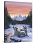 Winter's Dawn-Jeff Tift-Stretched Canvas