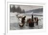 Winter's Day Laundering-Jahn Ekenaes-Framed Giclee Print