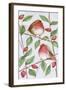 Winter's Garden, 2000-Alex Smith-Burnett-Framed Giclee Print