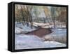 Winter's Last Impression-Stephen Calcasola-Framed Stretched Canvas