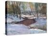 Winter's Last Impression-Stephen Calcasola-Stretched Canvas