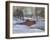 Winter's Last Impression-Stephen Calcasola-Framed Art Print