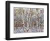 Winter’s Light-Robert Moore-Framed Art Print