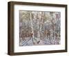 Winter’s Light-Robert Moore-Framed Art Print