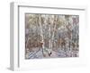 Winter’s Light-Robert Moore-Framed Art Print