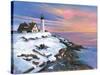 Winter's Light-Gregory Gorham-Stretched Canvas