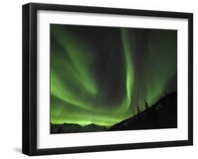 Winter's Night Sky-Brenda Petrella Photography LLC-Framed Giclee Print