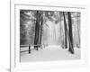 Winter's Path-Monte Nagler-Framed Photographic Print