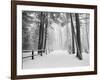 Winter's Path-Monte Nagler-Framed Photographic Print