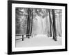 Winter's Path-Monte Nagler-Framed Photographic Print