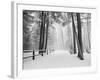 Winter's Path-Monte Nagler-Framed Photographic Print