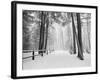 Winter's Path-Monte Nagler-Framed Photographic Print