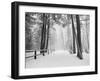 Winter's Path-Monte Nagler-Framed Photographic Print