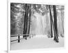 Winter's Path-Monte Nagler-Framed Photographic Print