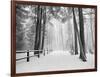 Winter's Path-Monte Nagler-Framed Photographic Print