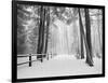 Winter's Path-Monte Nagler-Framed Photographic Print