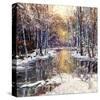 Winter’s Peace-Robert Moore-Stretched Canvas