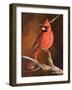 Winter's Perch 1-Trevor V. Swanson-Framed Giclee Print