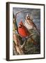 Winter's Perch 2-Trevor V. Swanson-Framed Giclee Print