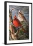 Winter's Perch 2-Trevor V. Swanson-Framed Giclee Print