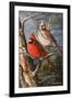 Winter's Perch 2-Trevor V. Swanson-Framed Giclee Print