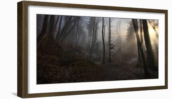 Winter's Slight Return-Norbert Maier-Framed Photographic Print