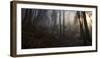 Winter's Slight Return-Norbert Maier-Framed Photographic Print