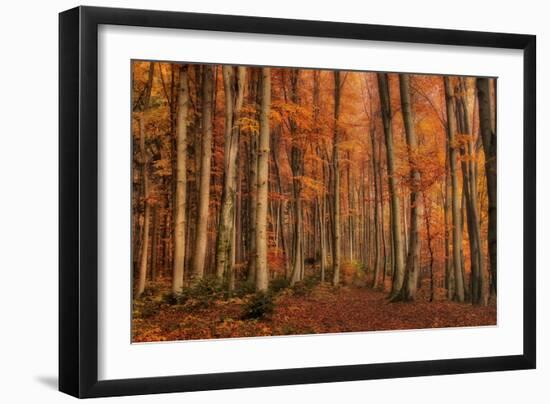 Winter's Soon to Come-Norbert Maier-Framed Photographic Print