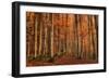 Winter's Soon to Come-Norbert Maier-Framed Photographic Print