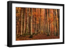 Winter's Soon to Come-Norbert Maier-Framed Photographic Print